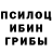 Галлюциногенные грибы ЛСД Subhon Homidov