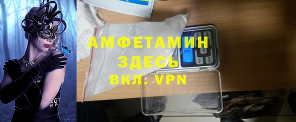 твердый Лиски
