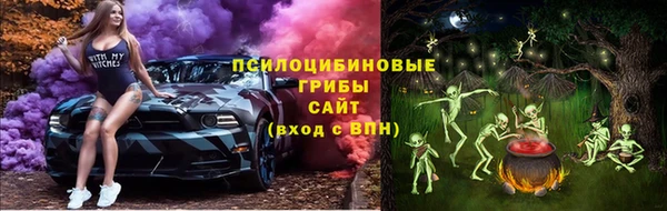 твердый Лиски