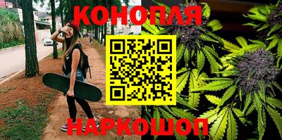 сатива Коммунар