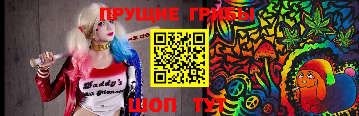 Галлюциногенные грибы Psilocybe  Вход с VPN  Псилоцибиновые грибы Psilocybe  Славянск-на-Кубани 